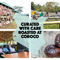 Collage of Kenya Peaberry coffee journey featuring handcrafted Kenyan goods, coffee farmers hand-sorting beans, a community meeting, and close-up of roasted peaberry beans, overlaid with “Curated with Care, Roasted at Coroco” text on map of Kenya