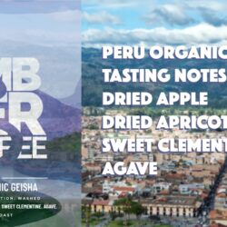 Ambler Coffee Peru Organic Geisha label featuring a scenic background of Cajamarca, Peru, with tasting notes listed: dried apple, dried apricot, sweet clementine, and agave.