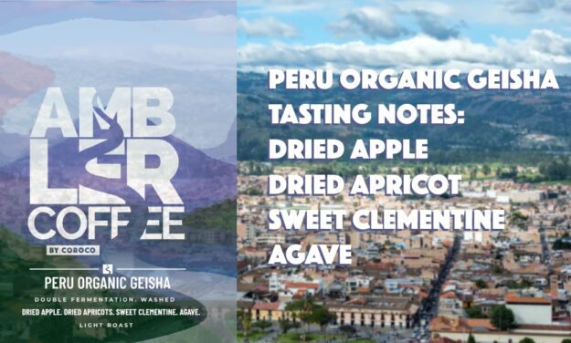 Ambler Coffee Peru Organic Geisha label featuring a scenic background of Cajamarca, Peru, with tasting notes listed: dried apple, dried apricot, sweet clementine, and agave.