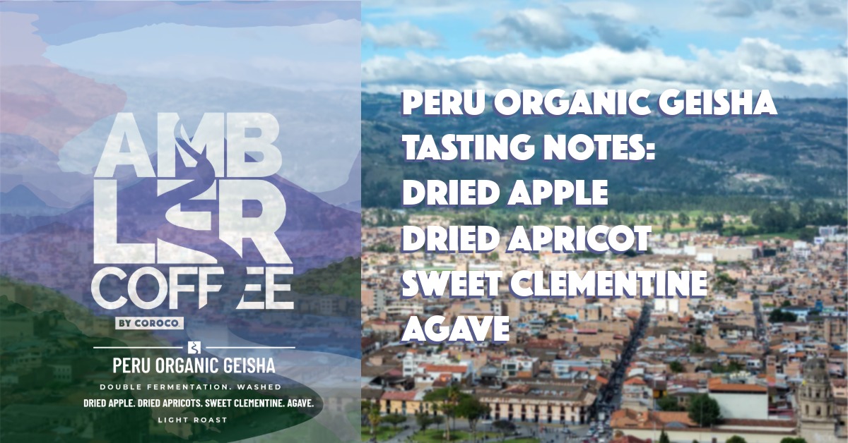 Ambler Coffee Peru Organic Geisha label featuring a scenic background of Cajamarca, Peru, with tasting notes listed: dried apple, dried apricot, sweet clementine, and agave.